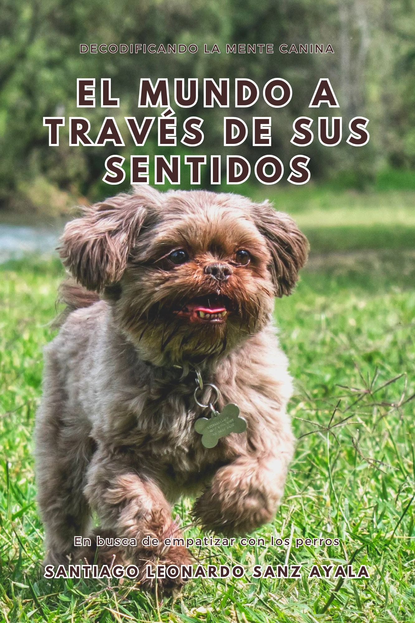 Portada del libro El Mundo a Través de Sus Sentidos